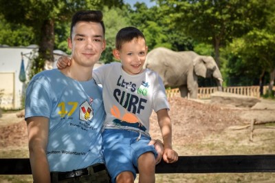 ZOObacz słonia jeszcze bliżej