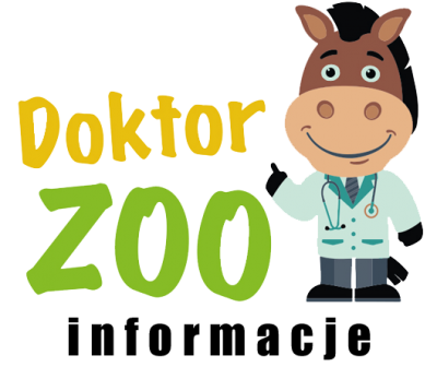 ZOOTERAPIA