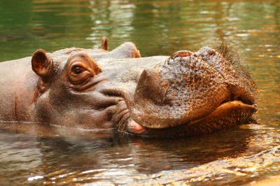 SPOTKANIE MIŁOŚNIKÓW WARSZAWSKIEGO ZOO