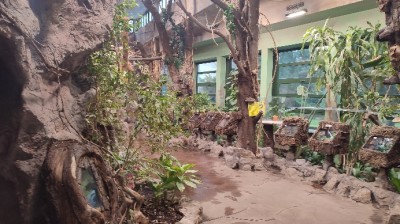 INSEKTARIUM