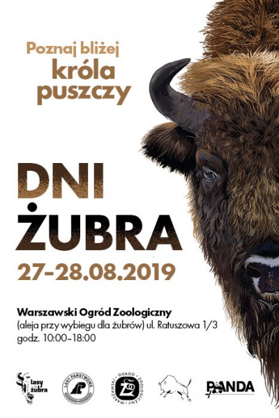POZNAJ BLIŻEJ KRÓLA PUSZCZY