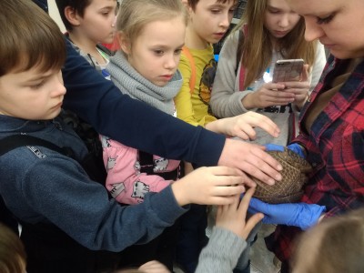 ZIMOWE POŁKOLONIE W ZOO
