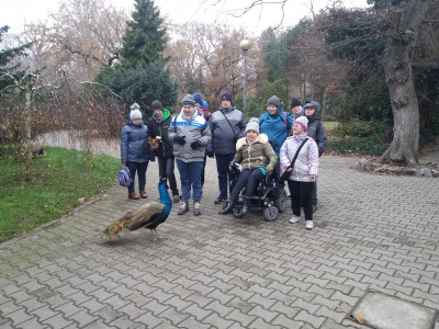 GOŚCIE Z PŁOCKA