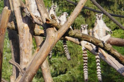 SPOTKANIE KLUBU MIŁOŚNIKÓW ZOO