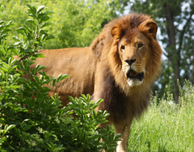Centrum Medyczne MML wspiera warszawskie zoo!