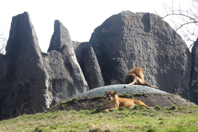 SPOTKANIE KLUBU MIŁOŚNIKÓW ZOO