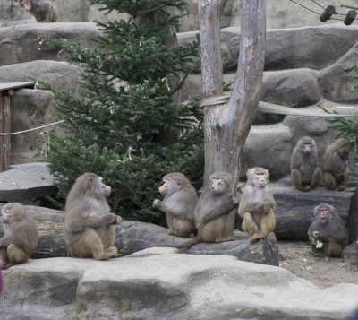 SPOTKANIE KLUBU MIŁOŚNIKÓW WARSZAWSKIEGO ZOO