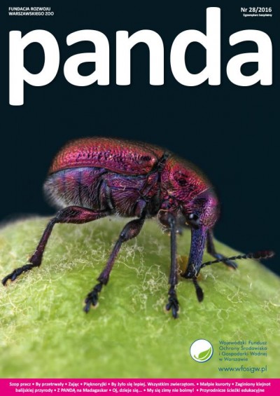 Nowy numer PANDY już dostępny!