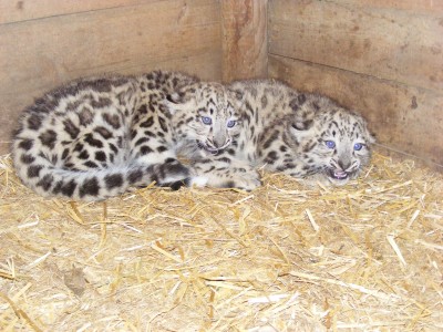 SPOTKANIE KLUBU MIŁOŚNIKÓW ZOO 17.09.2017.