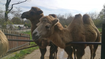 SPOTKANIE KLUBU MIŁOŚNIKÓW WARSZAWSKIEGO ZOO